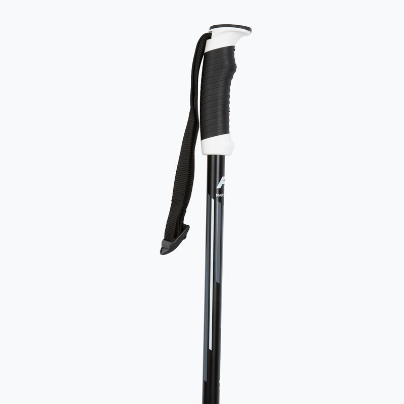 Ski poles Fizan Action Pro grey 2