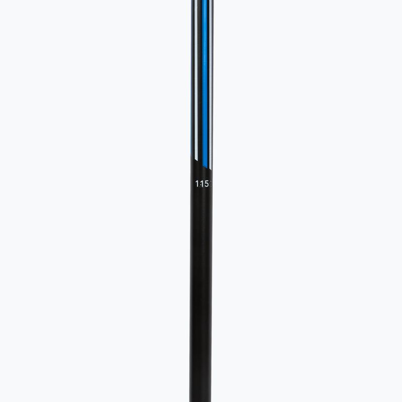 Ski poles Fizan Action Pro blue 4