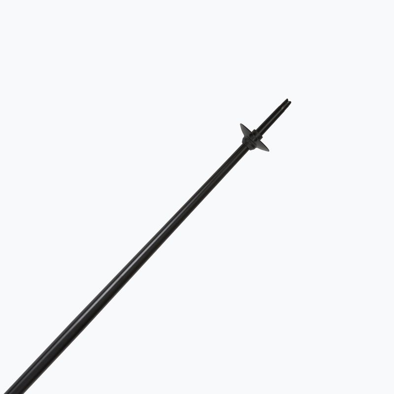 Ski poles Fizan Action Pro blue 5