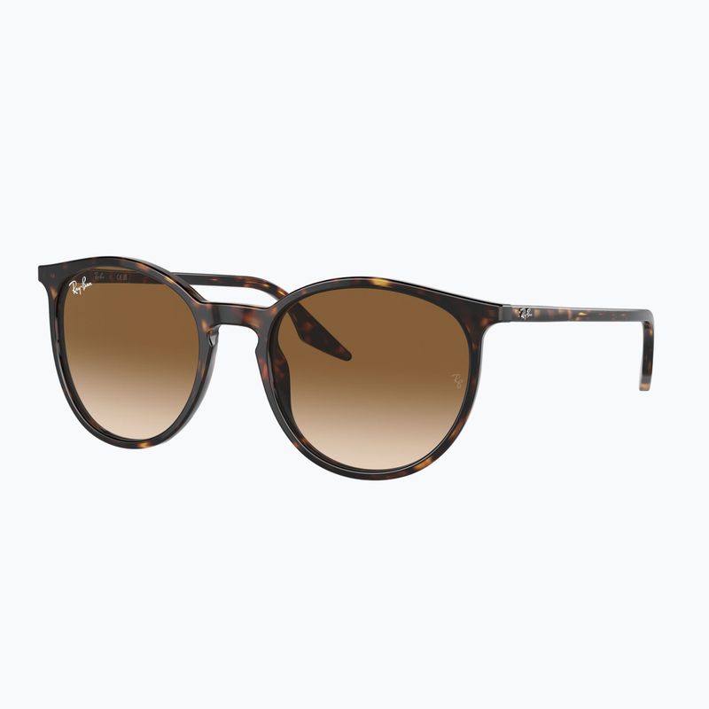 Sunglasses Ray-Ban RB2204 havana/light brown 4