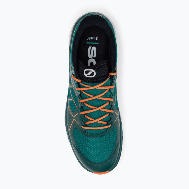 SCARPA Spin Infinity GTX men's running shoes blue 33075-201/4 7