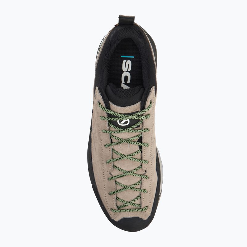 Men's approach shoes SCARPA Mescalito GTX taupe/forest 5