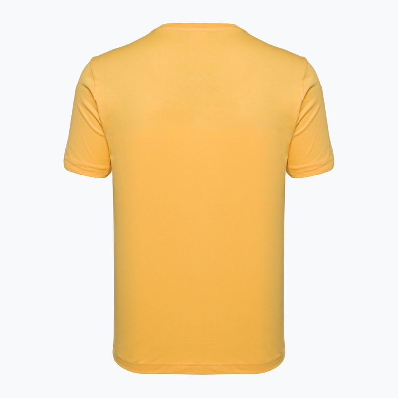 Champion Rochester men's t-shirt dark yellow 2