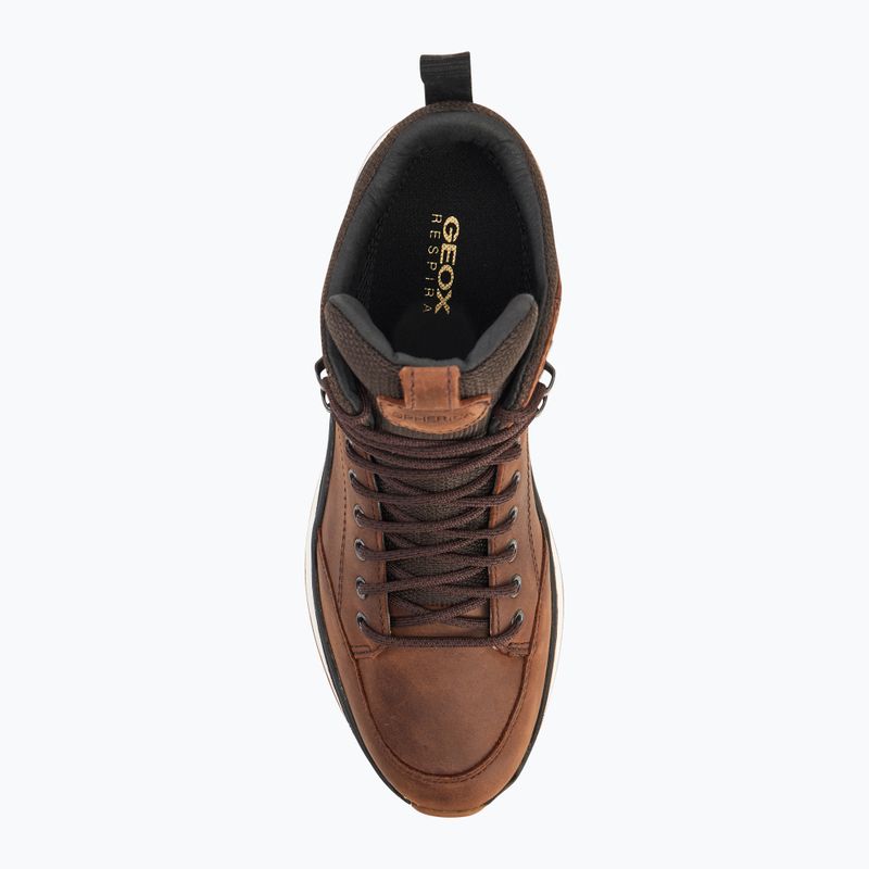 Geox Spherica™ Actif X2 ABX coffe/black men's shoes 5