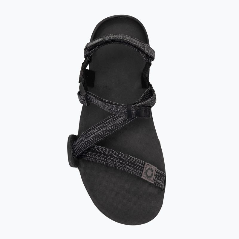 Men's barefoot sandals Xero Shoes Z-Trail EV multi / black 5