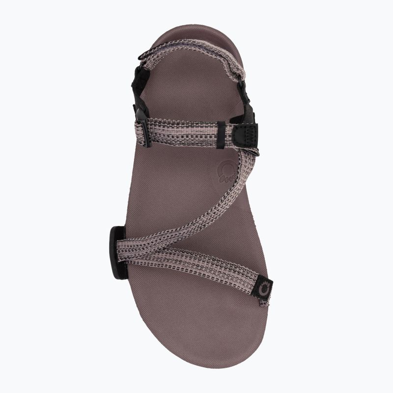 Women's barefoot sandals Xero Shoes Z-Trail EV dusty / rose 4