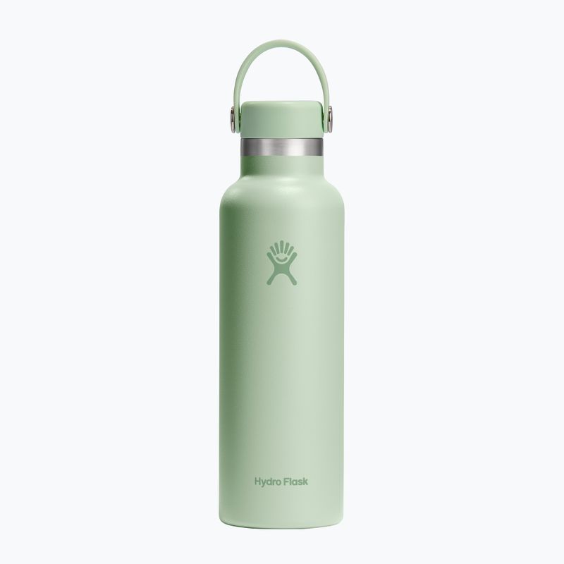 Hydro Flask Standard Flex 620 ml aloe thermal bottle