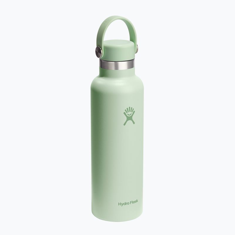 Hydro Flask Standard Flex 620 ml aloe thermal bottle 2