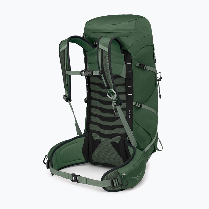 Men's hiking backpack Osprey Talon 33 l green canopy/ pine leaf 2