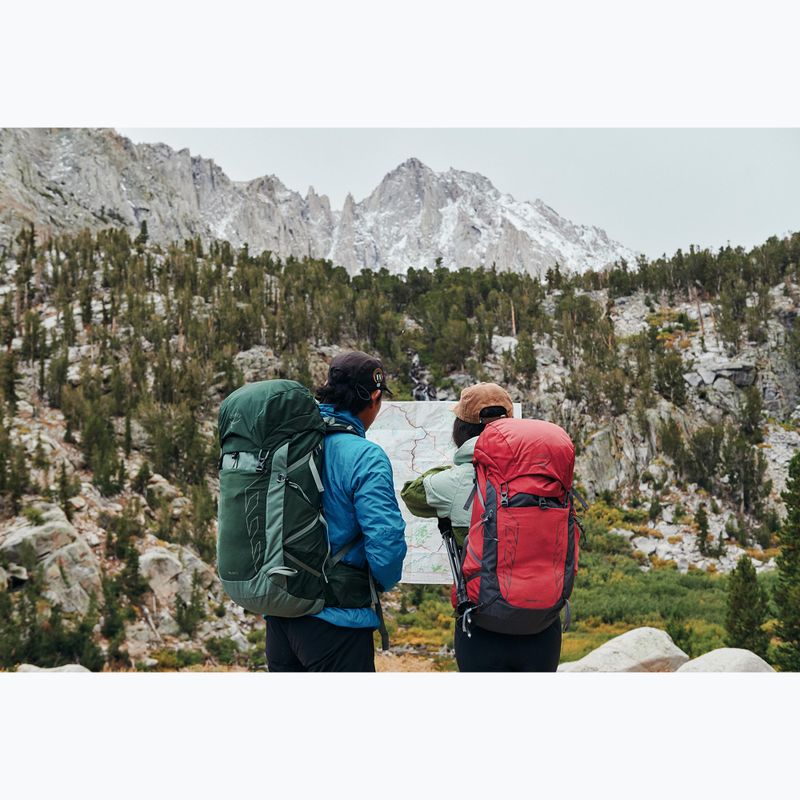 Men's hiking backpack Osprey Talon 33 l green canopy/ pine leaf 17