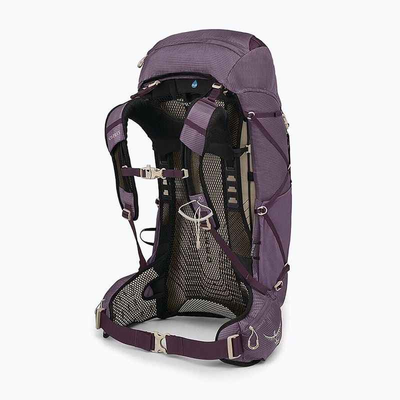Women's trekking backpack Osprey Eja 38 l M-L purple dusk 3