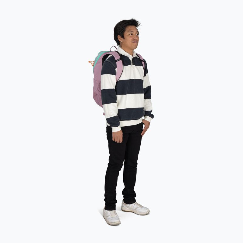 Urban backpack Osprey Astronova 23 l iris pink 6