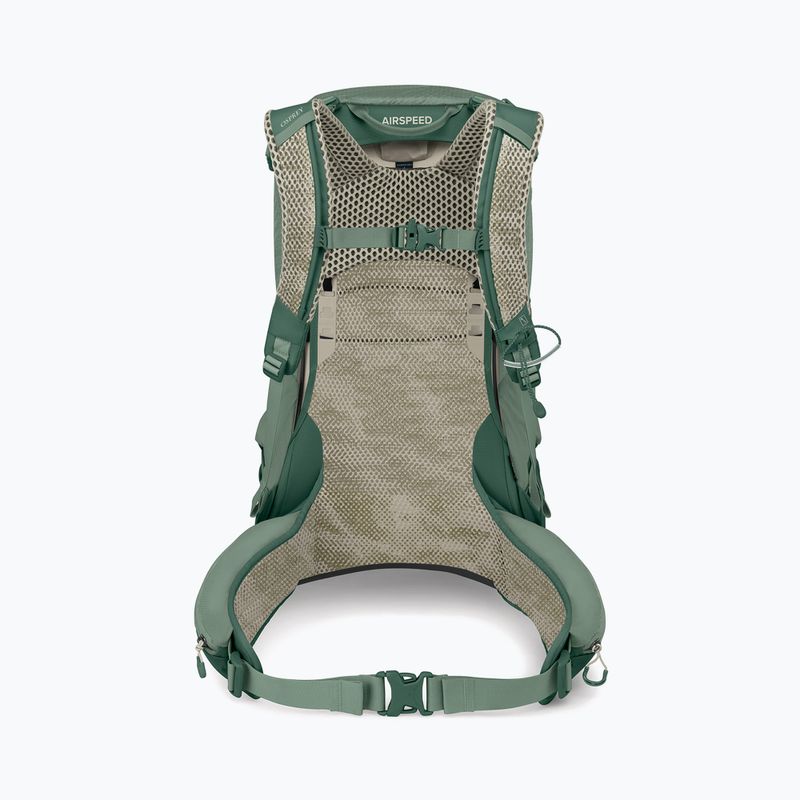 Men's hiking backpack Osprey Stratos 24 l pine leaf 3