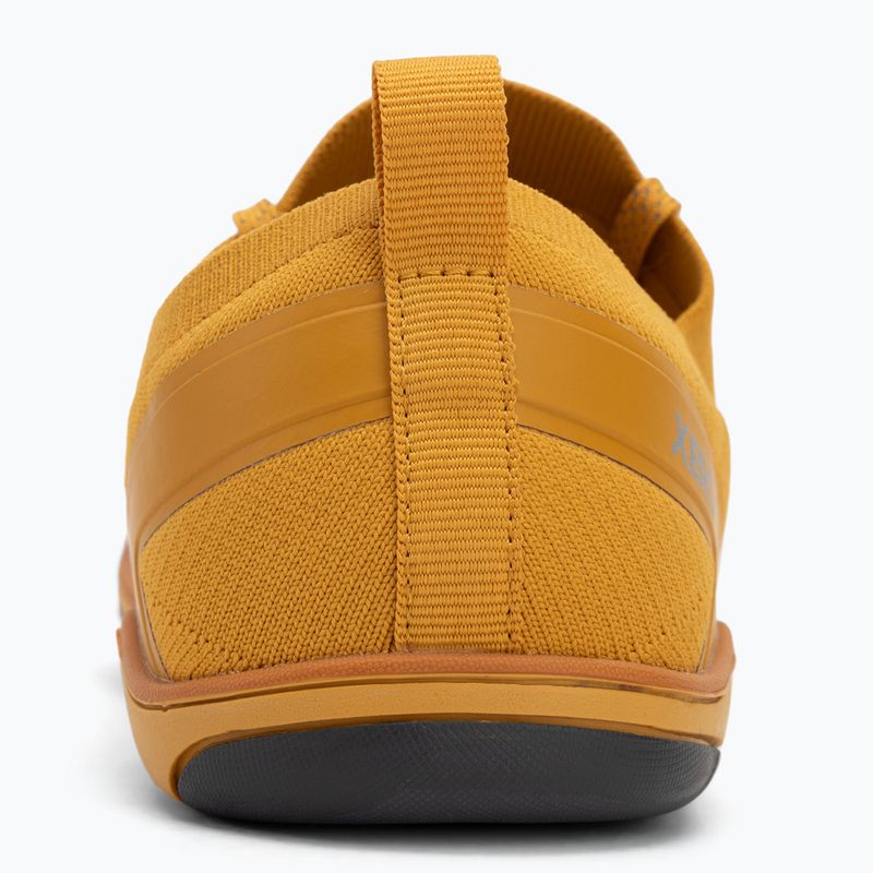 Men's barefoot shoes Xero Shoes Nexus Knit gold 6