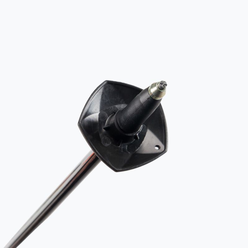 Völkl Phantastick Carbon ski poles black 141004 6