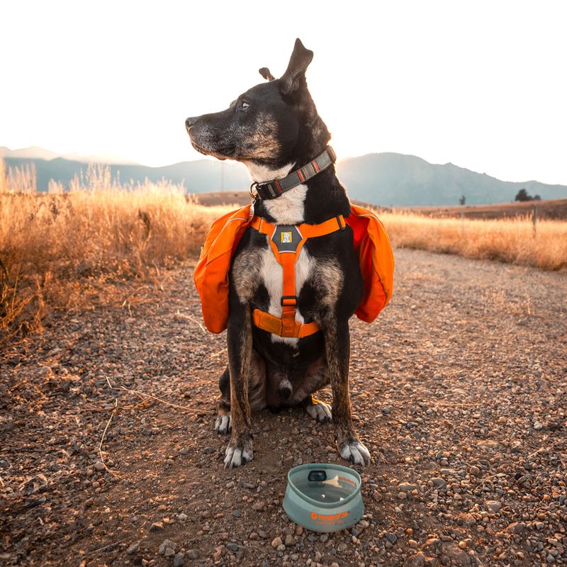 Dog bowl HydraPak Rover sutro green 4