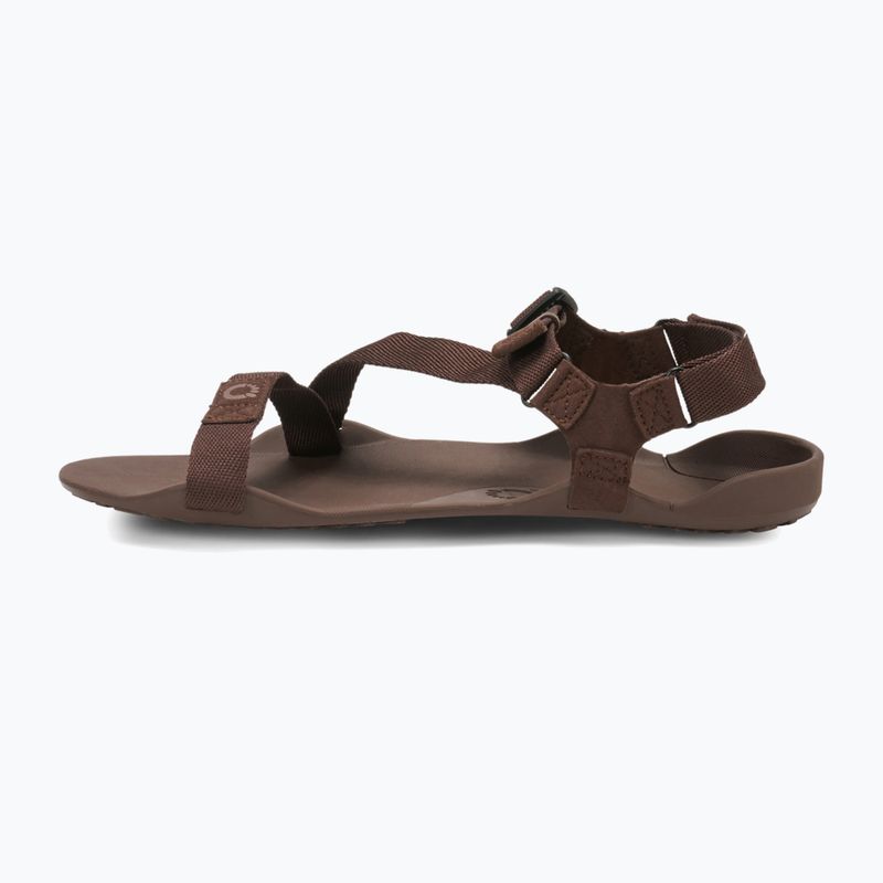 Men's barefoot sandals Xero Shoes Z-Trek brown 10