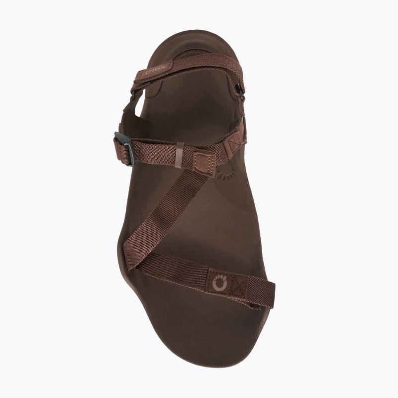 Men's barefoot sandals Xero Shoes Z-Trek brown 14
