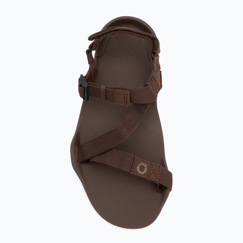 Men's barefoot sandals Xero Shoes Z-Trek brown 5
