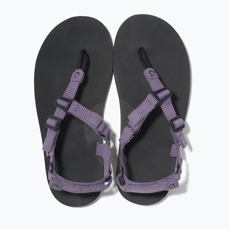 Women's barefoot sandals Xero Shoes H-Trail sage purple 6