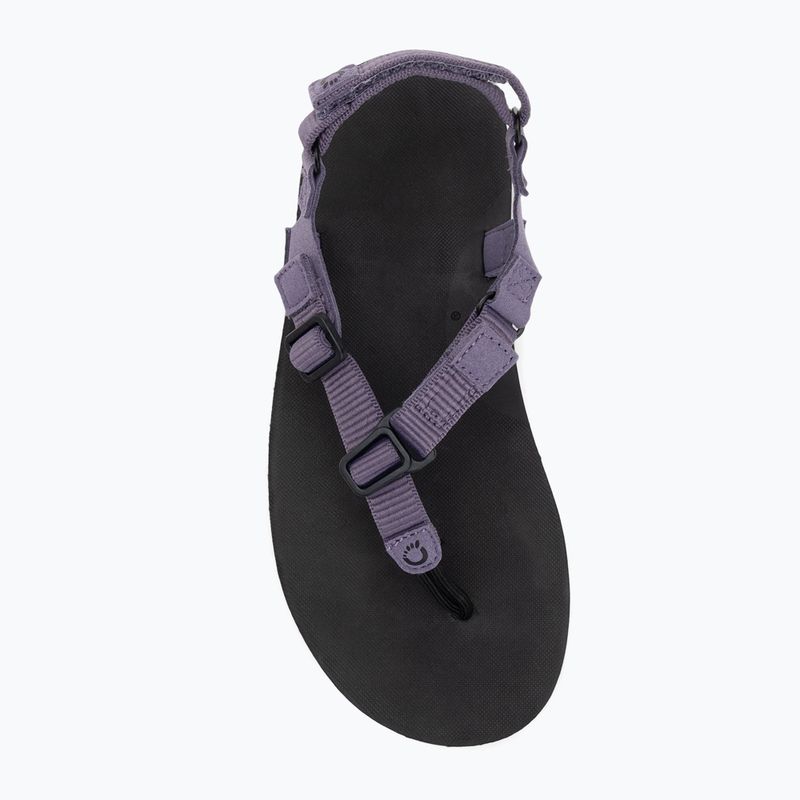 Women's barefoot sandals Xero Shoes H-Trail sage purple 5