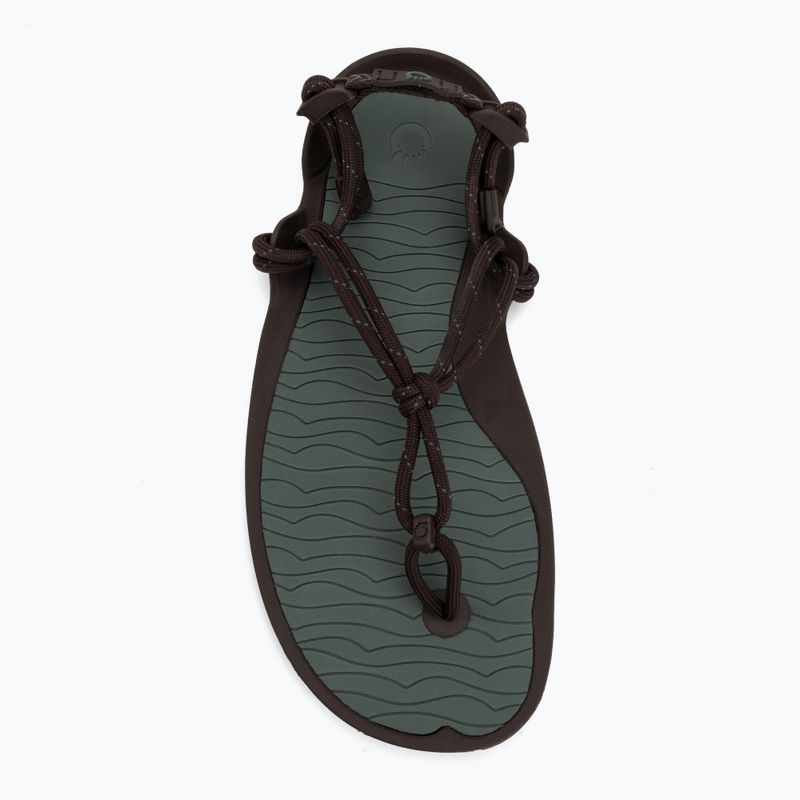 Men's barefoot sandals Xero Shoes Aqua Cloud java/brown/dark/forest 5