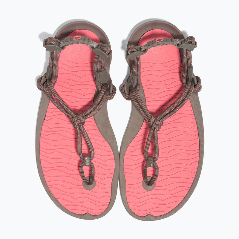 Women's barefoot sandals Xero Shoes Aqua Cloud moel/sunset coral 8