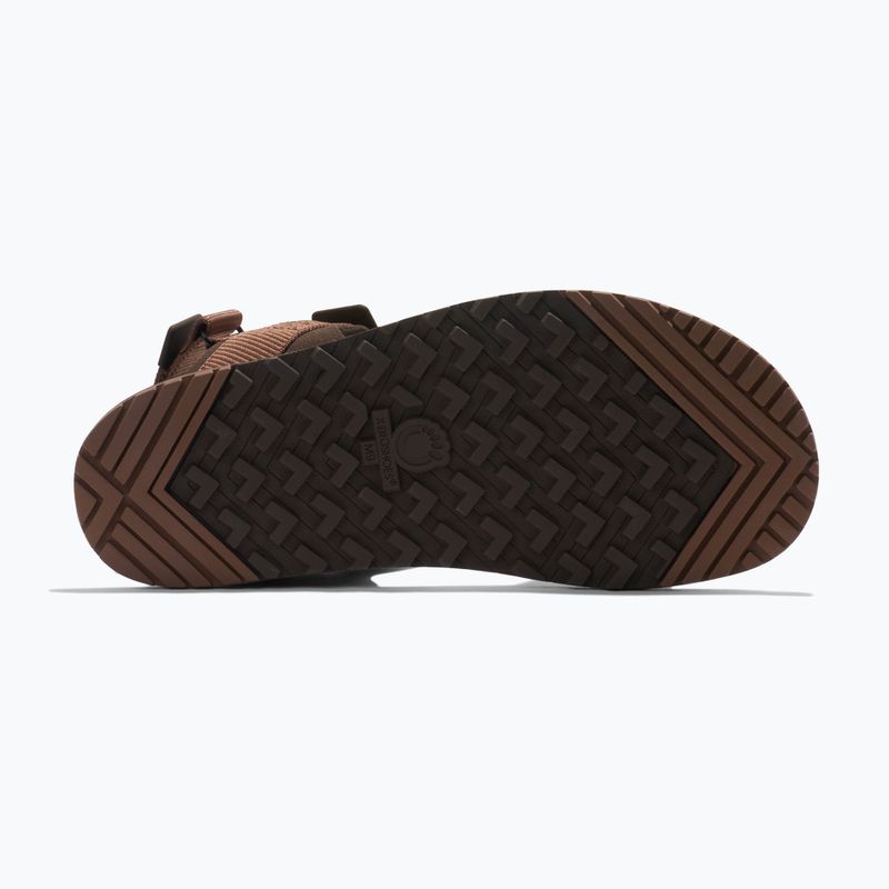 Men's barefoot sandals Xero Shoes D-Trail cocoa brown/java brown 6