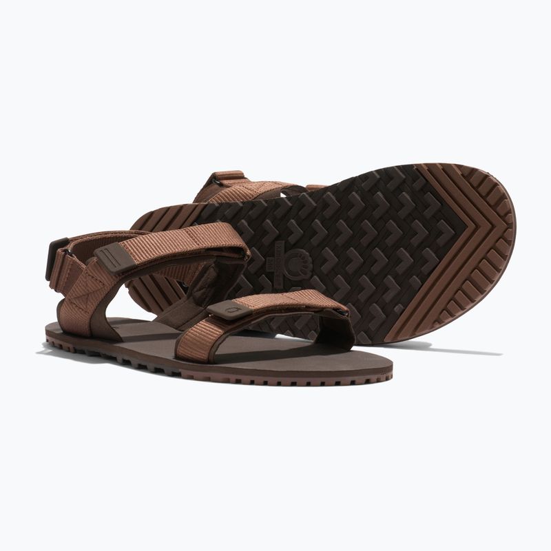 Men's barefoot sandals Xero Shoes D-Trail cocoa brown/java brown 8