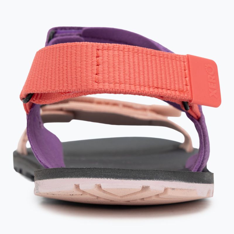 Women's barefoot sandals Xero Shoes D-Trail devberry / multi 6