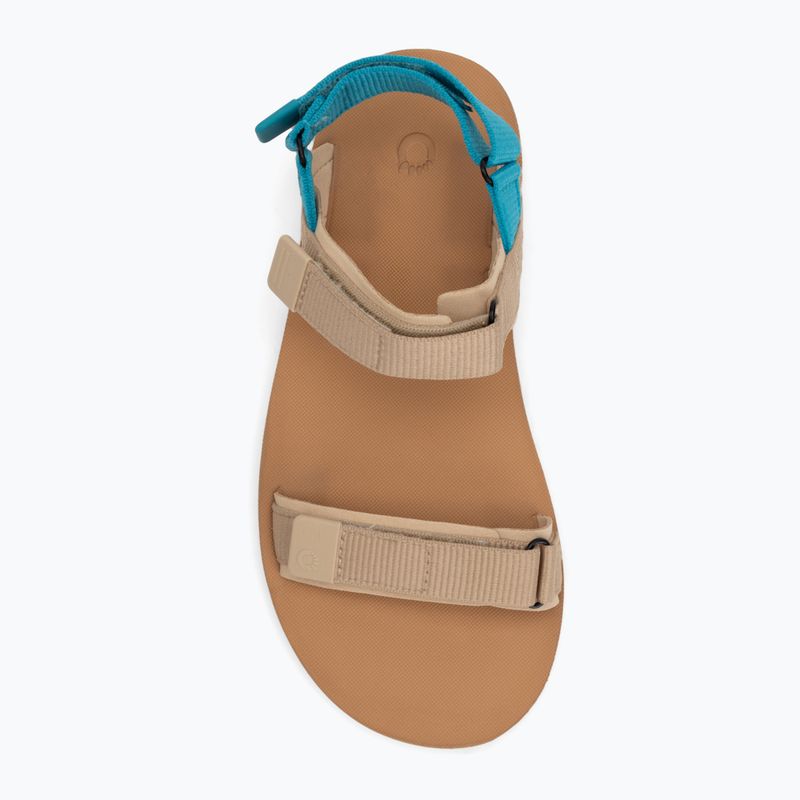 Women's barefoot sandals Xero Shoes D-Trail irish / cream / lake / blue 6