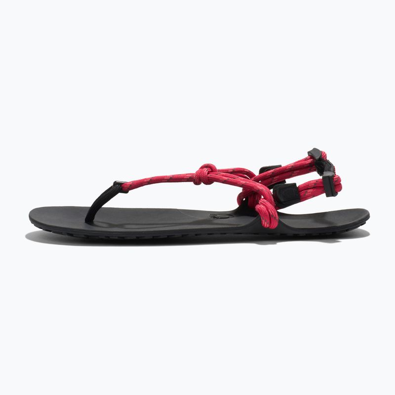 Women's barefoot sandals Xero Shoes Genesis raspberry 2