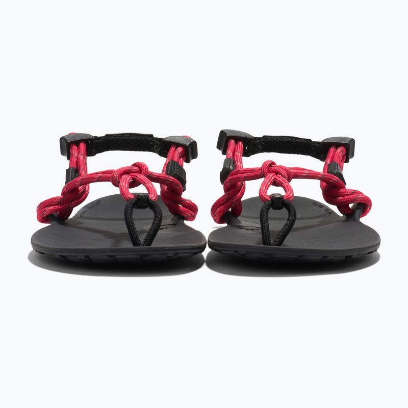 Women's barefoot sandals Xero Shoes Genesis raspberry 3