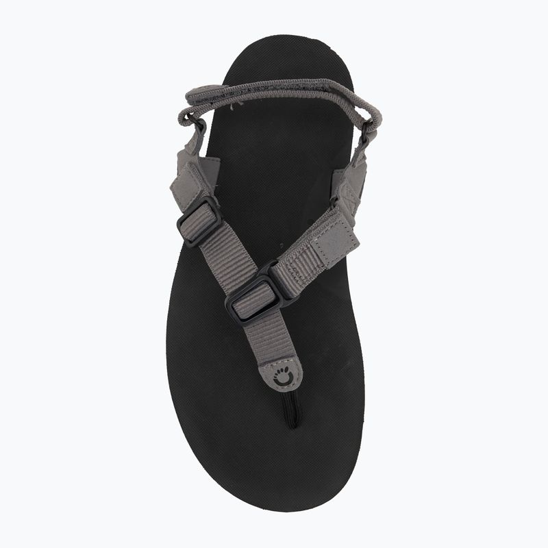 Men's barefoot sandals Xero Shoes H-Trail steel gray/blue/lolite 5