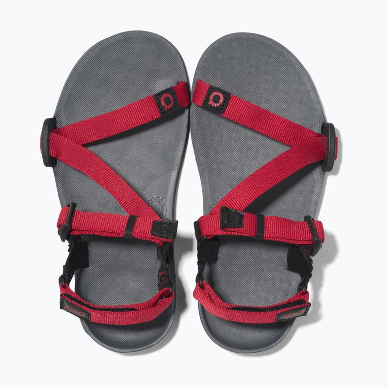 Barefoot Children's Xero Shoes Z-Trail charcoal/red pepper sandals 5