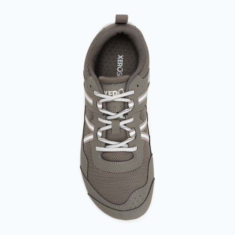 Men's barefoot shoes Xero Shoes Prio fallen / rock 5