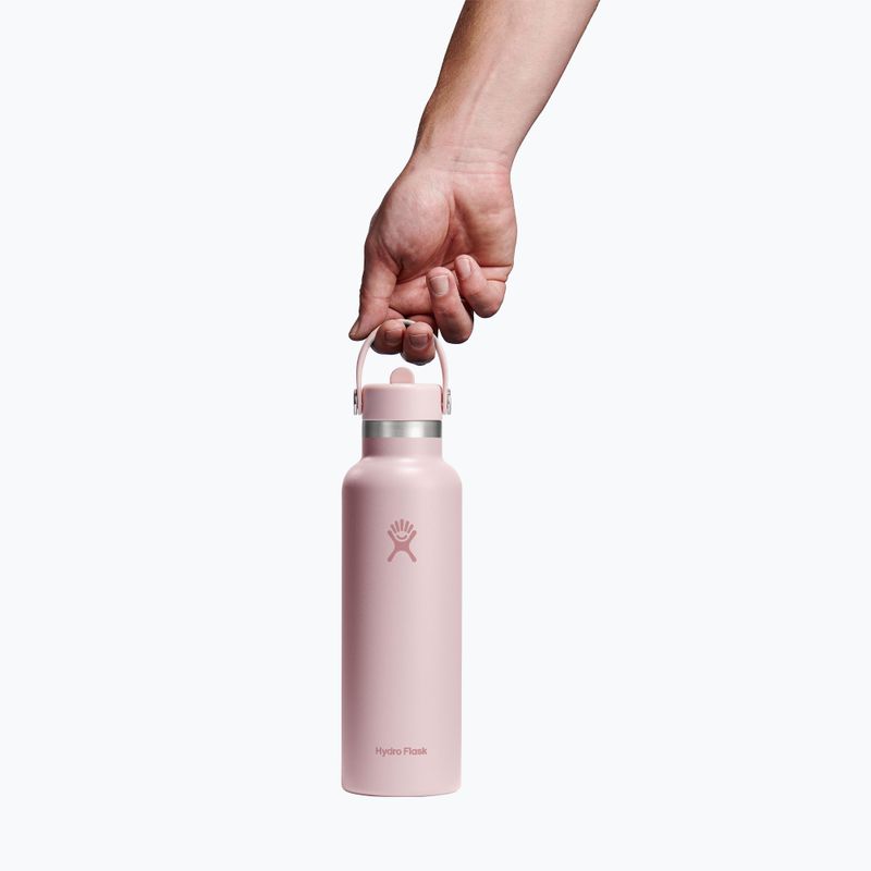 Thermal bottle Hydro Flask Standard Flex 621 ml trillium 3