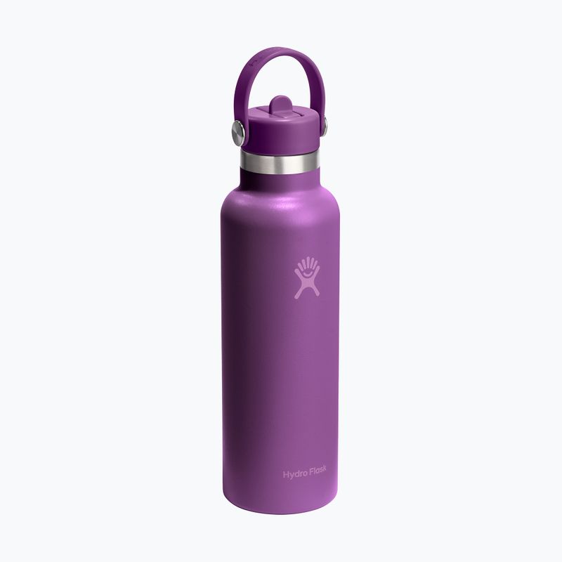 Thermal bottle Hydro Flask Standard Flex Straw 620 ml beachplum 2