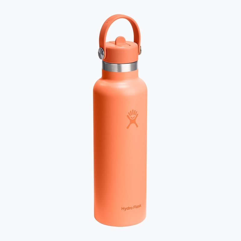 Thermal bottle Hydro Flask Standard Flex Straw 620 ml nectar 2