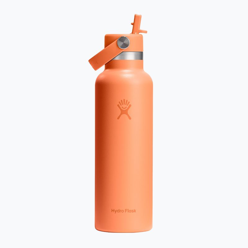Thermal bottle Hydro Flask Standard Flex Straw 620 ml nectar