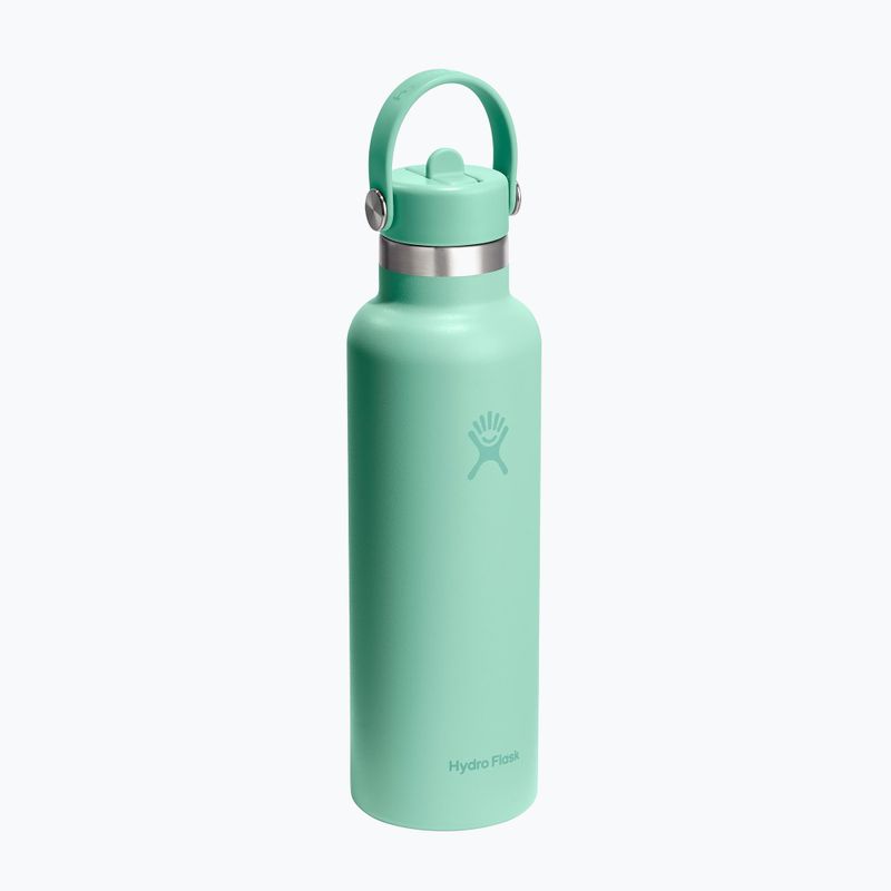Thermal bottle Hydro Flask Standard Flex 621 ml marmaid green 2