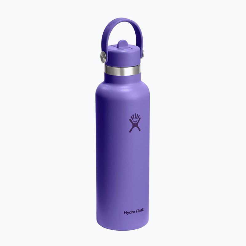 Thermal bottle Hydro Flask Standard Flex 621 ml utopia purple 2