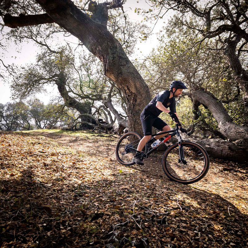 Marin Bobcat Trail 5 29 gloss black/orange/silver mountain bike 3