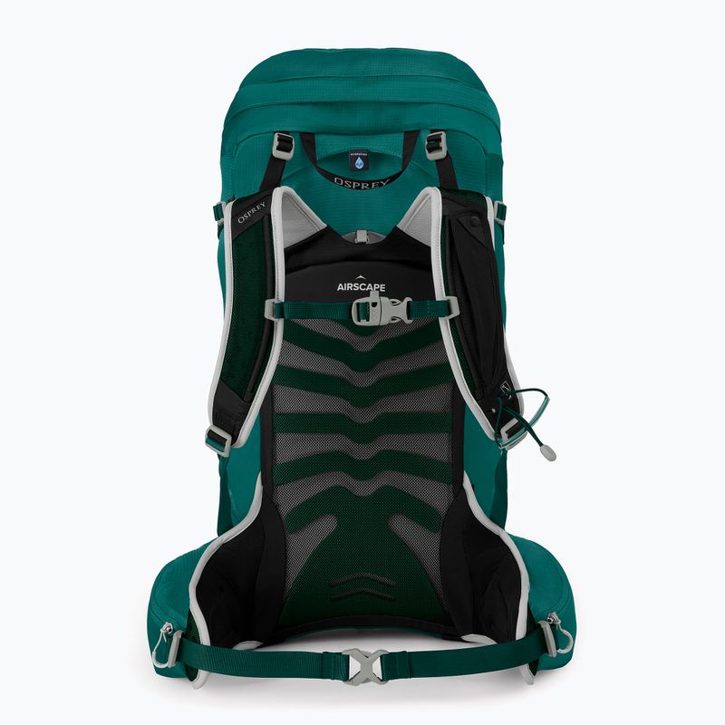 Women's trekking backpack Osprey Tempest 34 l jasper green 3