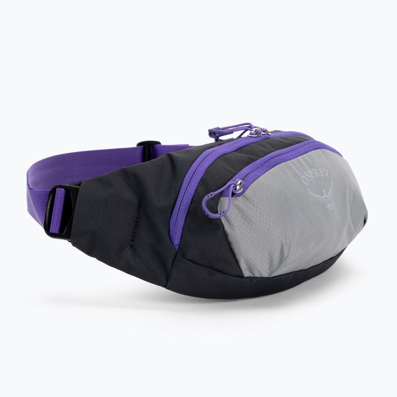 Osprey Daylite Waist 2L grey-purple kidney pouch 10004202