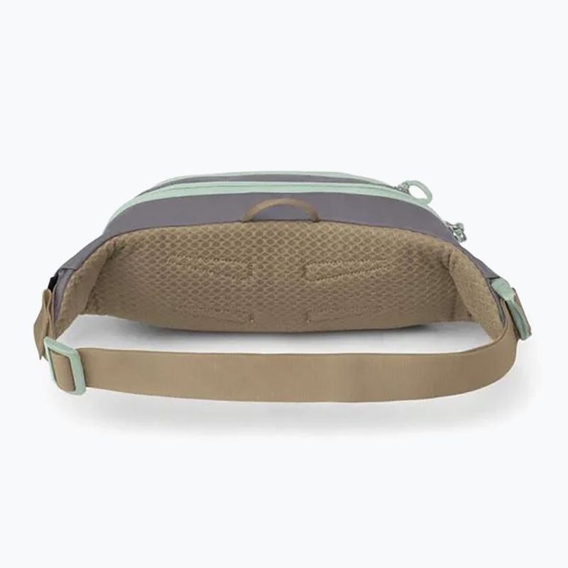 Waistbag Osprey Daylite Waist 2 l soundwave grey/ latte brown 2