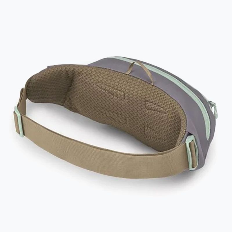 Waistbag Osprey Daylite Waist 2 l soundwave grey/ latte brown 3