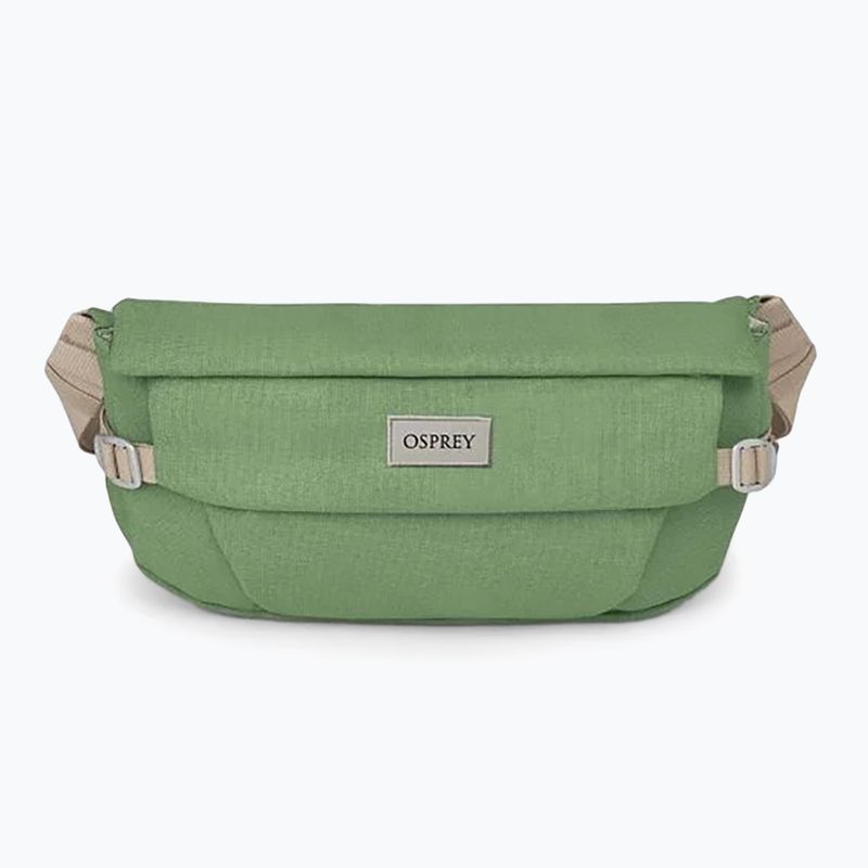 Osprey Arcane Hip 2 l botanica kidney sachet