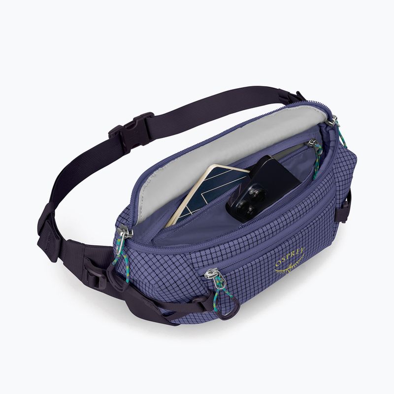 Osprey Transporter Waist Pack 3 l euphoria kidney pouch 4