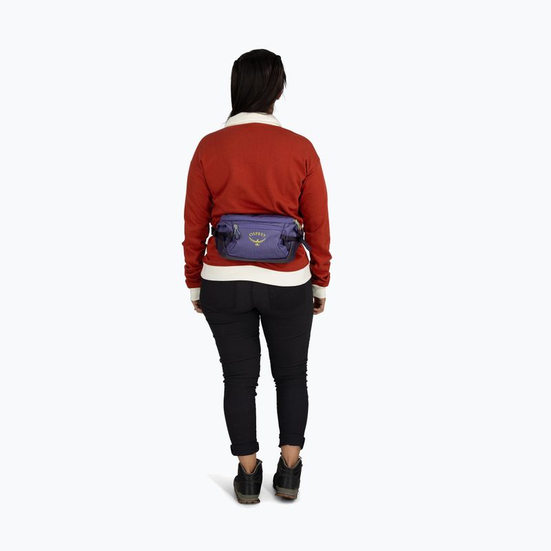 Osprey Transporter Waist Pack 3 l euphoria kidney pouch 8